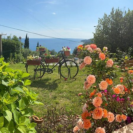 Villa Pergola -Apartment Roko Mlini Bagian luar foto